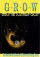Dare To Swim,GROW: Under the Southern Cross, edited by Anne Hamilton and Lyn Hurry, Writerlynks Grow, 2008.A humorous story about trying to meet a dare.